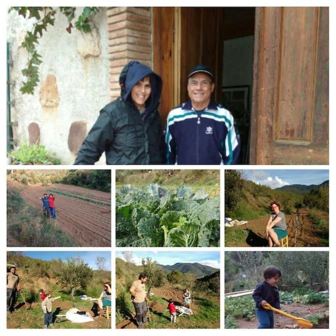 Cottage Eco-Friendly Barcelona Country Side La Garriga Luaran gambar