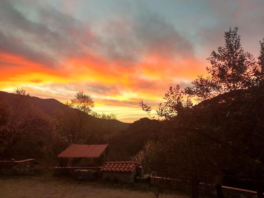 Cottage Eco-Friendly Barcelona Country Side La Garriga Luaran gambar