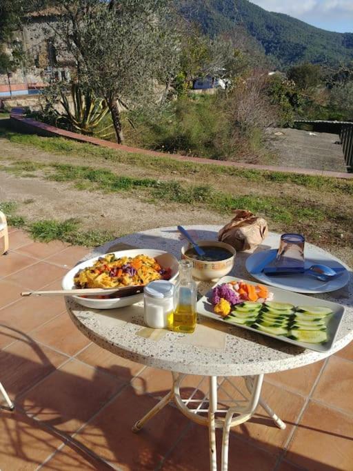 Cottage Eco-Friendly Barcelona Country Side La Garriga Luaran gambar