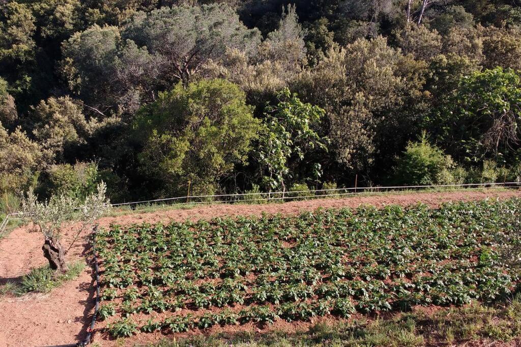 Cottage Eco-Friendly Barcelona Country Side La Garriga Luaran gambar