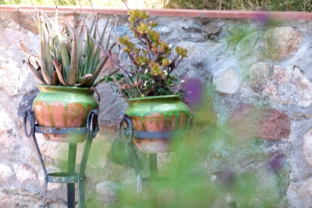 Cottage Eco-Friendly Barcelona Country Side La Garriga Luaran gambar