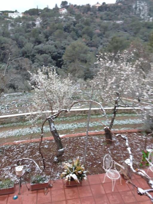 Cottage Eco-Friendly Barcelona Country Side La Garriga Luaran gambar