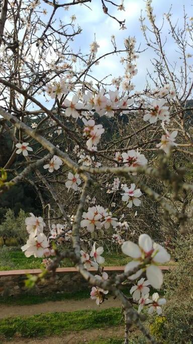 Cottage Eco-Friendly Barcelona Country Side La Garriga Luaran gambar