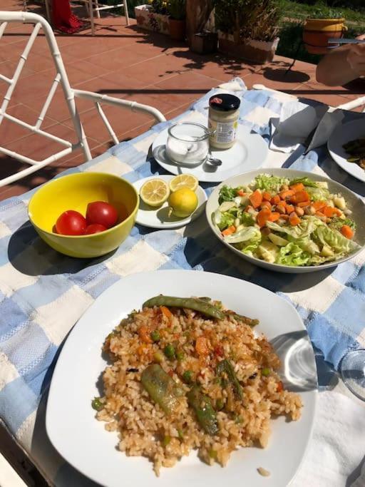 Cottage Eco-Friendly Barcelona Country Side La Garriga Luaran gambar